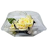 Boutonniere Flower Box Clear Prom Wedding Corsage Craft Container w/ eBook (4.5" x 3.75" x 3", 10 Count)