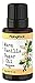 Piping Rock Warm Vanilla Sugar Fragrance Oil 1/2 oz (15 ml) Dropper Bottle