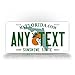 Plate Any Text Customized Personalized Auto Tag Sign 6x12 Sunshine State