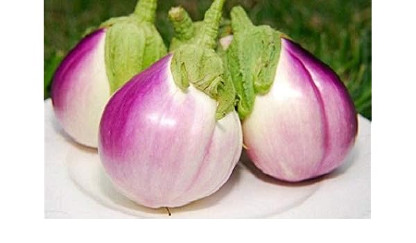 Portal Cool 80Sd: (120) Reyes Calidad berenjena Rosa Bianca 80 ...