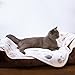Allisandro 350 GSM-Super Soft and Premium Fuzzy Flannel Fleece Pet Dog Blanket, The Cute Print Design Washable Fluffy Blanket for Puppy Cat Kitten Indoor Outdoor, White, 32 x 24 Inches