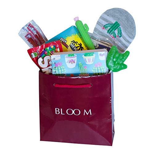 Nurse Gifts for Women Includes an ASL I Love You Sucker, Mini Cactus Notebook, Cacti Pen, Cactus Socks and Sweet and Savory Snacks