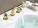 APOSHION Bathroom Faucet, Bath Sink Faucet,Hot/Cold Water Mixer Bathroom Faucet with 3 Holes by (Gold Finish)