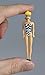 World's Smallest Barbie