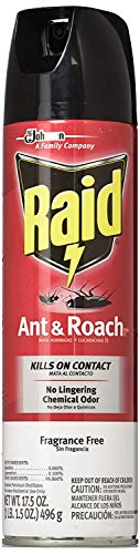 Raid Ant and Roach Killer, Fragrance Free, 17.5 OZ (Pack -...