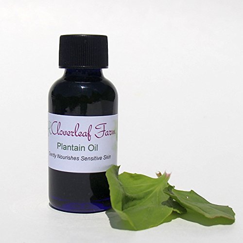 Cloverleaf Farm - Plantain Herbal Oil, 1 oz