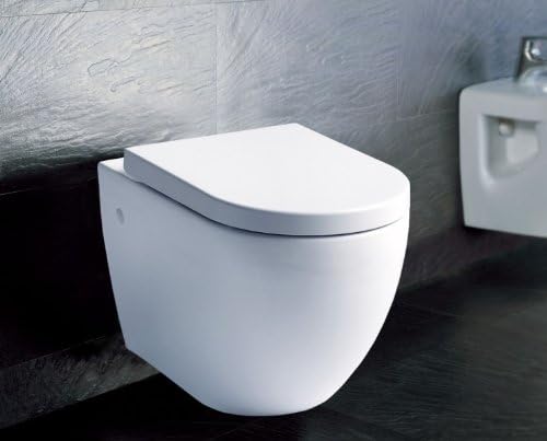Komplettset Bernstein Luxus Wand Hange Wc W 803 Nano Beschichtung Softclose Geberit Duofix Basic Delta 21 Weiss Amazon De Kuche Haushalt