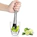 FOXAS Stainless Steel Cocktail Muddler and Skull Mixing Spoon Perfect Tool for Mojitos fruit drinks herbal teas