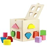 Babrit 13 Holes Intelligence Shape Sorter Cognitive and Matching Wooden Geometric Shape Sorting Box