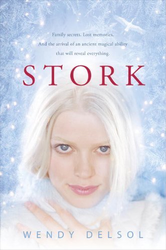 Stork (Stork Trilogy (Paperback)) by Wendy Delsol (2011-09-13)