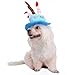 Tinksky Cat Dog Pet Happy Birthday Party Hat with Cake and 5 Colorful Candles Design Cosplay Costume Accessory Headwear (Blue)