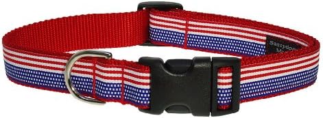 Large American Flag Dog Collar: 1" Wide, Adjusts 18-28" - Made in USA