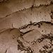 L.A. Minerals Brown Shimmer Eye Shadow - Seduction