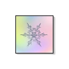 Framed Canvas Wall Art for Living Room, Bedroom Snowflake Theme Canvas Prints for Home Decoration Ready to Hang - 16x16 inches