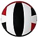 Baden Perfection Premium Leather Indoor Official Game Volleyball 13U to College Official Size + Weight NFHS + AVCA Approved