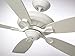 Luminance kathy ireland HOME Carrera Grande Eco Ceiling Fan Fixture with 6-Speed Wall Control and Downrod | Energy Star Rated Motor | Light Kit Adaptable and Blades Sold Separately, Satin White, 37 to 45 Inches, 46 to 50 Inches, 51 to 55 Inches,56 to 65 Inches , 66 Inches & Up