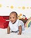 Lamaze Baby Organic Essentials 3 Piece Bib Set, blue, One Size