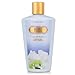 Secret Charm/Victoria Secret Body Lotion 8.4 Oz (250 Ml) (W)
