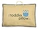Toddler Pillow 13x 19-Inch Hypoallergenic Organic Cotton Shell Pillow and Carrying Bag, Blue Owl