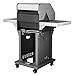 Royal Gourmet 2-Burner Patio Propane Gas Grill (Stainless Steel)