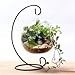 10L0L Charming Clear Hanging Glass Ball Vase Air Plant Terrarium Kit/Succulent Flowerpot Container w/Black Metal Stand (Big)