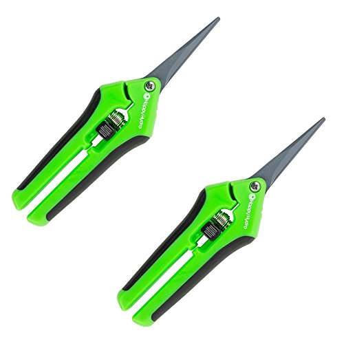 Happy Hydro 2 Pack Non-Stick Bud, Plant, and Flower Scissors with Teflon Straight Tip Blades for Trimming and Pruning
