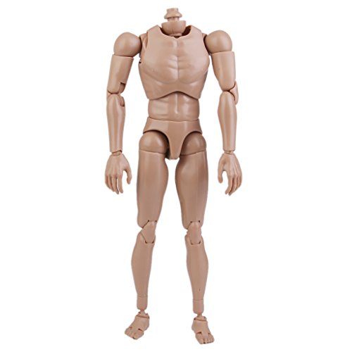 Custom Wide Shoulder Action Figure Male Nude Body Muscular 1:6 Scale for TTM