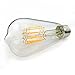 GEZEE 10W Edison Style Vintage LED Filament Light Bulb, 100W Incandescent Replacement,Warm White 2700K,1000LM, E26 Medium Base Lamp, ST21(ST64) Antique Shape, Dimmable(3-Pack)