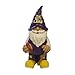 FOCO Lsu 2008 Team Gnome
