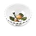 Portmeirion Pomona Individual Fruit Salad Bowl, set of 6, Multi