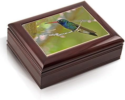 Hawaiian Music Box Deluxe - Humming Bird - You are my Sunshine