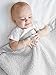 Chenille Blanket Silver
