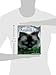 The Friendly Floppy Ragdoll Cat: Abridged Edition