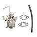 HIFROM Carburetor Carb with Gasket Compatible with Watts 2hp 63cc 60338 66619 69381 Harbor Freight Chicago Electric Storm CAT 700 800 900 Generator