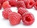 Virgin Extracts (TM) Premium Organic Red Raspberry Powder Freeze Dried Extract 4:1 Red Raspberry Concentrate (4 X Stronger) 8oz Pouch