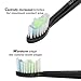 Sonifresh Sonicare Replacement Heads, Sonicare Toothbrush Heads For Phillips Sonicare Electric Toothbrush- Fits Plaque Control, Gum Health, DiamondClean, Flexcare, EasyClean, and HealthyWhite, 4 Pack