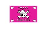ATV Pink Pirate Princess Skull 12
