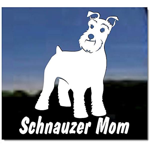 miniature schnauzer mom