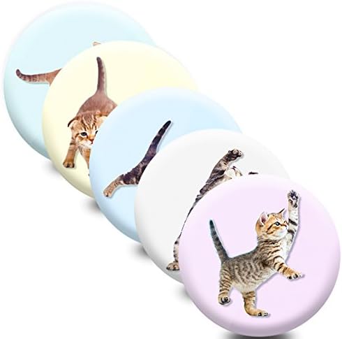 Adorable Kitten Magnets Cat Design Magnets - Pack of 20