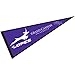 College Flags & Banners Co. Grand Canyon Lopes Pennant Full Size Felt