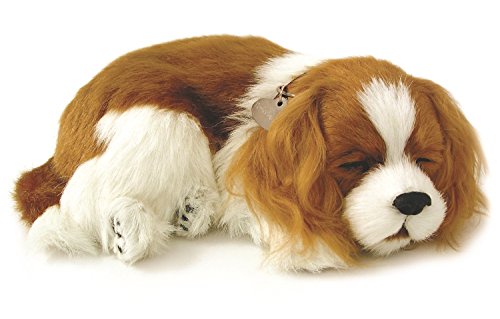 Cavalier king charles animated pet
