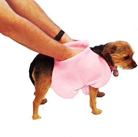 Chammyz Bone Shaped Doggy Dog Absorbing Drying Spaw's Towel - 2 Sizes