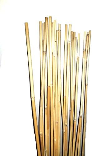 Natural bamboo Stakes Over 5 Feet Tall - Pack of 20 (Natural yellow)