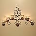 Adeco HD0012 Iron & Glass Horizontal Wall Hanging Holder Sconce, Scolled Vine Detail, Holds 7 Tea Lights Decorative Candle Lanterns, Black with Antique Finish