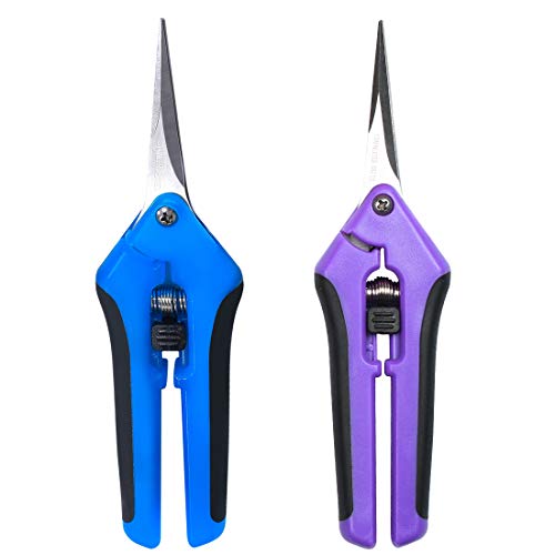Terme Two Packs of Gardening Hand Pruner Pruning Shear with Straight Stainless Steel Blades
