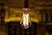 SHINE HAI Vintage Edison Bulbs 60W, Antique Style ST58 Squirrel Cage Filament, 300 Lumens, Dimmable Teardrop Design, E26 Medium Base 2300K, Pack of 6