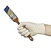 GLOVEWORKS Industrial Ivory Latex Gloves, Case of 1000, 4 Mil, Size Small, Powder Free, Textured, Disposable, TLF42100