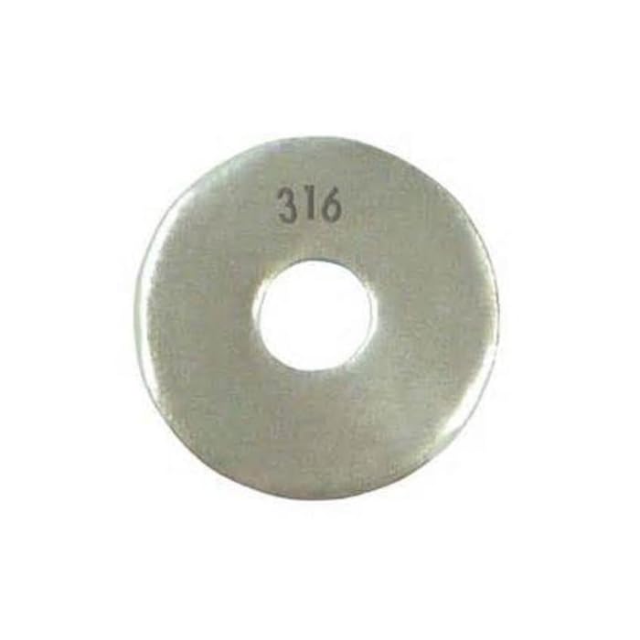 Buy 316 Stainless Steel Flat Washer, Plain Finish, Meets ANSI B18.22.1