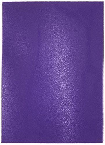 Dragon Shield 11009 Matte Purple Standard Sleeves (100 Sleeves)