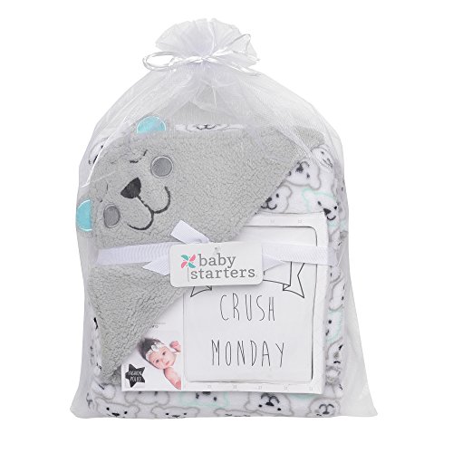 Baby Starters 13-Piece Modern Moments Blanket and Photo Prop Cards Set - Thumbnail 7